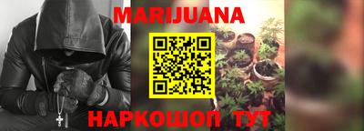 шишки Балашиха